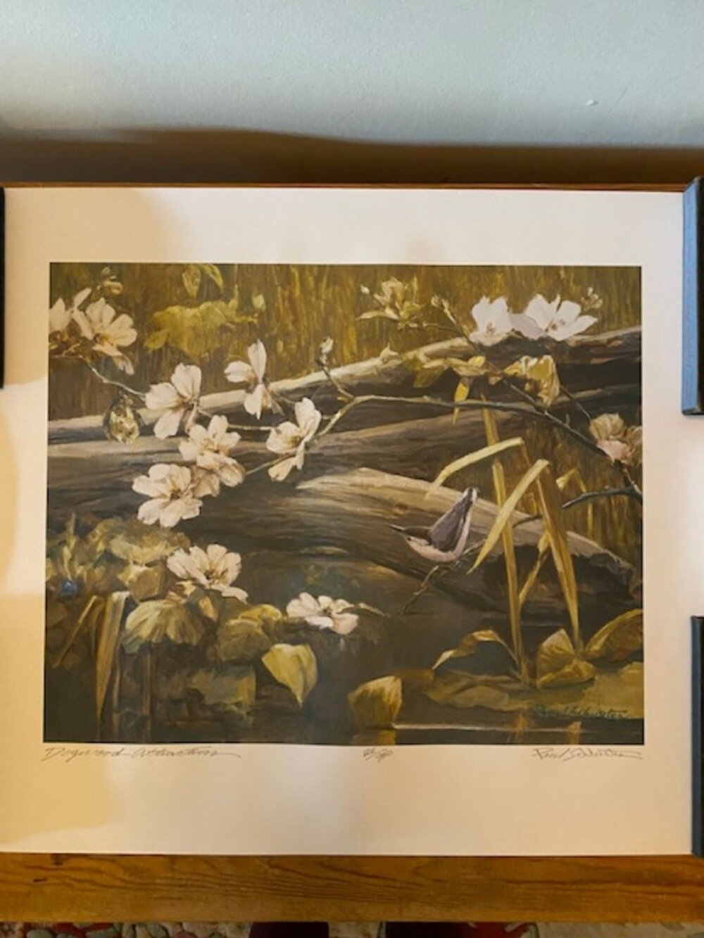 Signed numbered 126/950 Lithograph Dogwood Blossoms Paul Schlueter 1970's